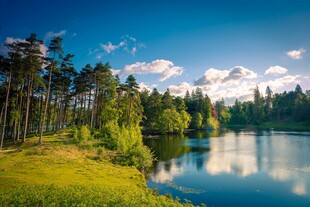 湖畔森林美景