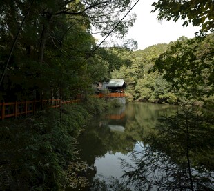 林间静谧湖水与小屋