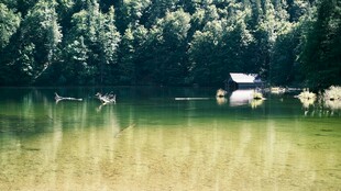 宁静湖畔的自然美景
