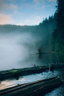 湖畔晨雾中的静谧自然景