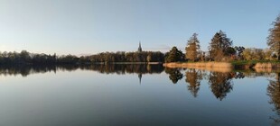 宁静湖畔美景