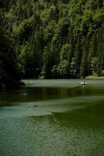 静谧山林中的碧绿湖水