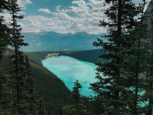 湖畔森林美景