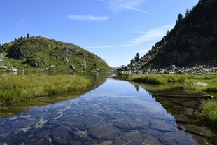 山间清澈溪流美景