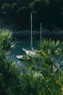 港湾中的帆船与绿植景观