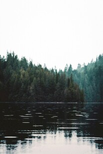 宁静湖畔森林倒影美景