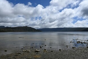 宁静湖畔风景