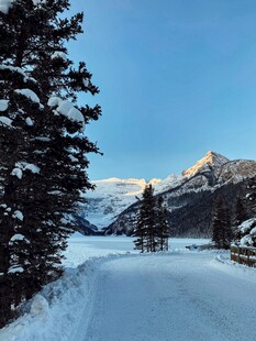 冬日雪覆山林的静谧美景