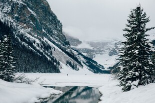 冬日雪山松林静谧美景