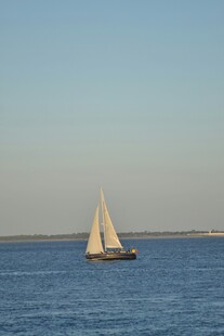 海上帆船悠然航行