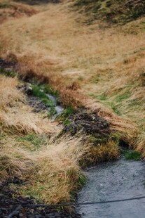 山间小溪旁的枯黄草地