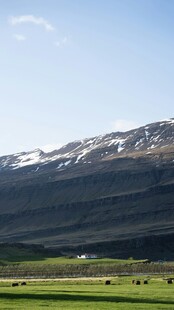 雪山下的广袤草原风光