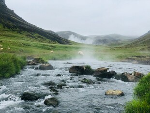 山间溪流潺潺的自然美景