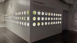 植物标本秦地无闲草