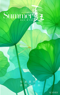 夏至清新荷叶插画