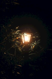 暗夜中透过枝叶的暖光