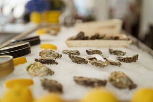 新鲜牡蛎摆放在桌面上
