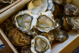 新鲜盒装生蚝待品尝