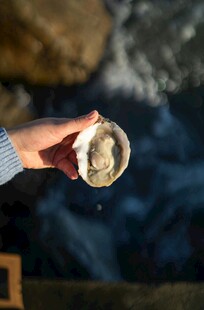 手捧贝壳特写