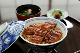 日式鳗鱼饭美食特写