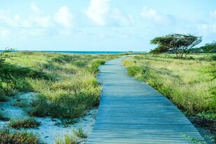 海边木栈道通向远方美景