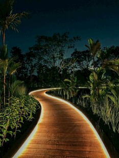 夜间木质步道的静谧美景