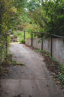 幽静林间小道