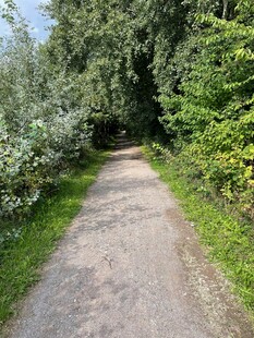 林间幽静小路