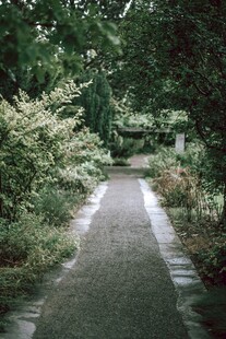 幽静林间小道