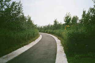蜿蜒小路穿梭于绿植间