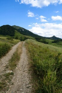 山间小径漫步