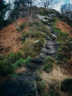 山间小径 自然野趣风景