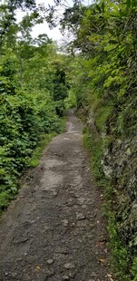 山间幽静小径