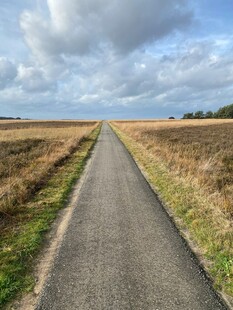 乡间小路延伸至远方田野
