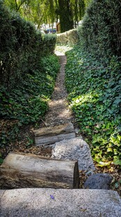 林间石阶小道绿意盎然