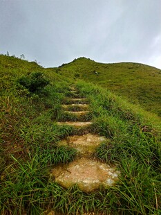 山间石阶小径绿意盎然