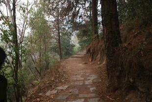 山林间的石板小径