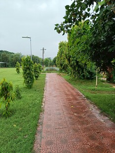雨后公园小径绿意盎然