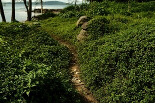 山间小径通往海边美景