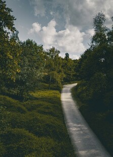 林间蜿蜒小路的自然景致