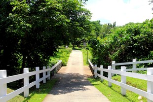 田园白色围栏小径风景