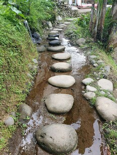 溪边石径 自然清新景致