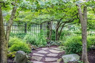 幽静石径旁的绿植庭院