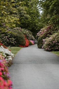 繁花簇拥的幽静花园小径
