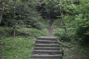 林间石阶小径