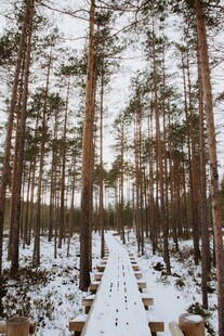 冬日雪覆林间小径