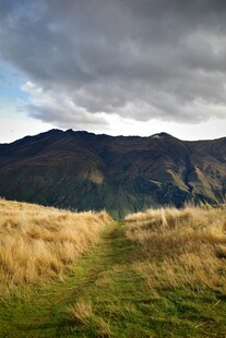山间草地与远处山峦景色