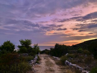 黄昏下的山间小径美景