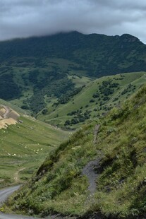 山间蜿蜒小路与葱郁景致