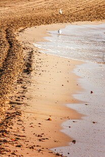 沙滩与海水的静谧景致